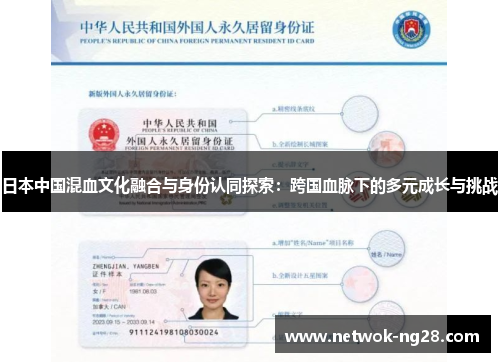 日本中国混血文化融合与身份认同探索：跨国血脉下的多元成长与挑战